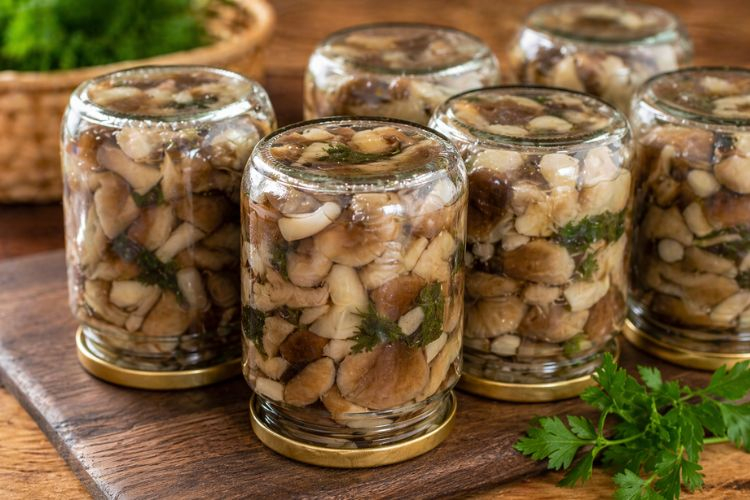 Маринованные грибы: домашний рецепт вкусной заготовки
